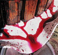 Cradle of Hills McLaren Vale Winery - Accommodation 4U