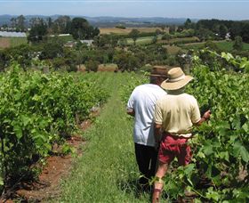 Sir Paz Estate - Accommodation 4U 0