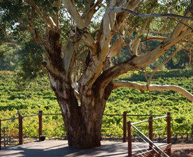Upper Reach Winery And Cellar Door - Accommodation 4U 1