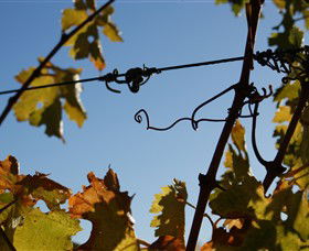 Blackjack Vineyards - Accommodation 4U 1