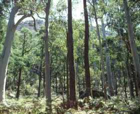 Cathedral Range State Park - Accommodation 4U 0