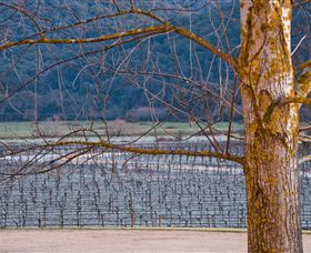 Chrismont - Accommodation 4U 4