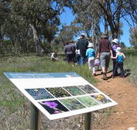 South Gundagai Woodlands Walk - Accommodation 4U