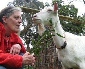 Karmic Goat Soapworks - Accommodation 4U 2