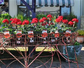 Van Loon's Nursery - Accommodation 4U 0