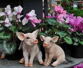 Van Loon's Nursery - Accommodation 4U 2