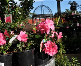 Van Loon's Nursery - Accommodation 4U 1