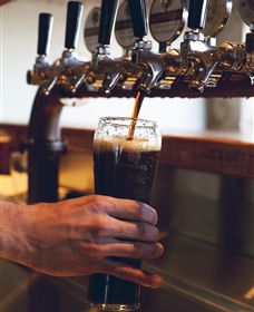 Napoleone Brewery And Ciderhouse - Accommodation 4U 3