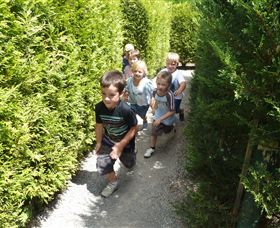Hedgend Maze And Healesville Laser Sport - Accommodation 4U 1