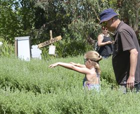 Hedgend Maze And Healesville Laser Sport - Accommodation 4U 2
