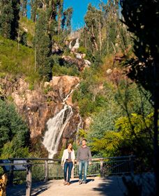 Steavenson Falls Marysville - Accommodation 4U 1
