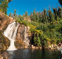 Steavenson Falls Marysville - Accommodation 4U
