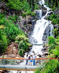Steavenson Falls Marysville - Accommodation 4U 2