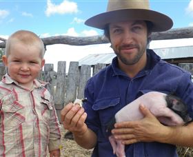 Gleneden Organic Farm And The Gleneden Bullock Team - Accommodation 4U 2