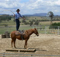 Boggy Creek Shows - Accommodation 4U