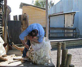 Boggy Creek Shows - Accommodation 4U 4