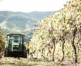 Logan Wines - Accommodation 4U 5