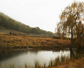 Logan Wines - Accommodation 4U 6