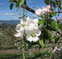 Mouat's Farm - Accommodation 4U