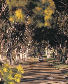 Albert Facey Heritage Trail - Accommodation 4U 0