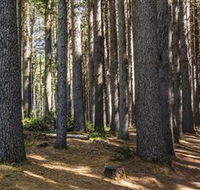 Sugarpine Walk - Accommodation 4U