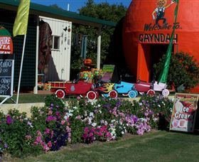 Gayndahs Big Orange - Accommodation 4U 1