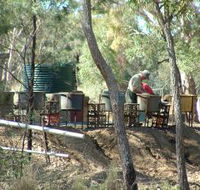 7 Oaks Sapphire Fossicking - Accommodation 4U