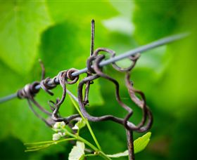 Dromana Estate - Accommodation 4U 4