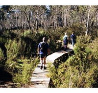 Hume and Hovell Walking Track - Henry Angel Trackhead - Accommodation 4U