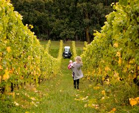 Polperro Winery - Accommodation 4U 7