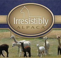 Marchmont Park Alpacas - Accommodation 4U