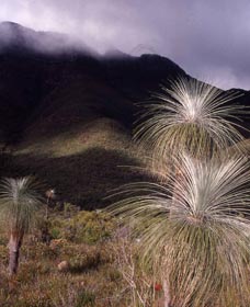 Bluff Knoll, Stirling Range National Park - Accommodation 4U 3