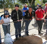 Fossil Rock - Accommodation 4U