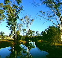 Dingo Creek Park - Accommodation 4U