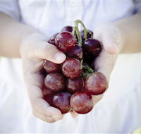Granitevale  Estate Winery - Accommodation 4U