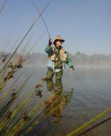 Lake Wallace - Accommodation 4U 0