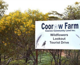 Coorow Farm Wildflower Trail - Accommodation 4U 0