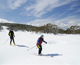 Mt Baw Baw Alpine Resort - Accommodation 4U 2