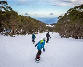 Mt Baw Baw Alpine Resort - Accommodation 4U 0