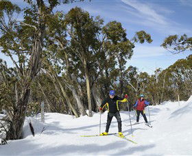Mt Baw Baw Alpine Resort - Accommodation 4U 4