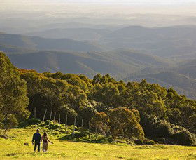 Mt Baw Baw Alpine Resort - Accommodation 4U 6