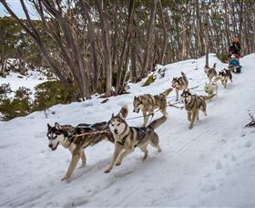 Mt Baw Baw Alpine Resort - Accommodation 4U 5