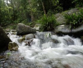 Washpool National Park - Accommodation 4U 0
