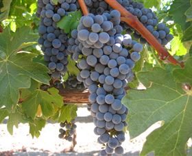 Joshuas Fault Wine - Accommodation 4U 0