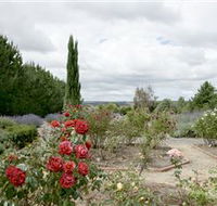 Crystal Brook Lavender Farm - Accommodation 4U