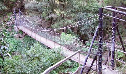 Jenolan River Walking Track - Accommodation 4U 0