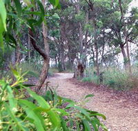 Mount Mutton Walking Trail - Accommodation 4U