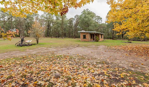 Major Clews Hut Walking Track - Accommodation 4U 2