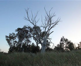 Cooleman Ridge - Accommodation 4U 1