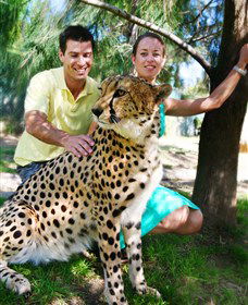 National Zoo & Aquarium - Accommodation 4U 0